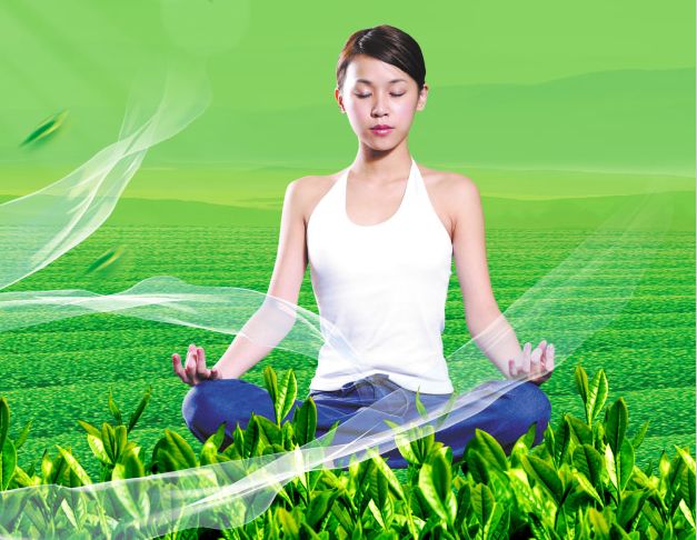 买假拉脱维亚驾照